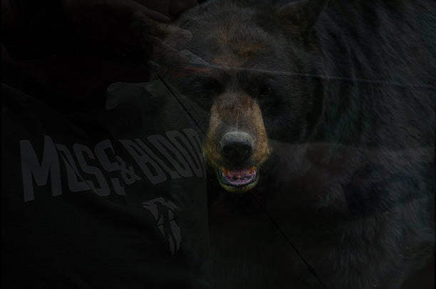 Why You Should Eat Bear Meat | Black Bear Chili Recipe