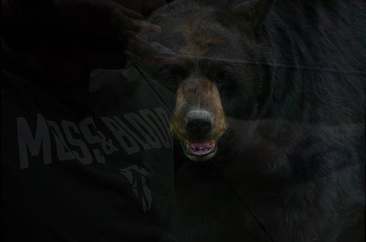 Why You Should Eat Bear Meat | Black Bear Chili Recipe