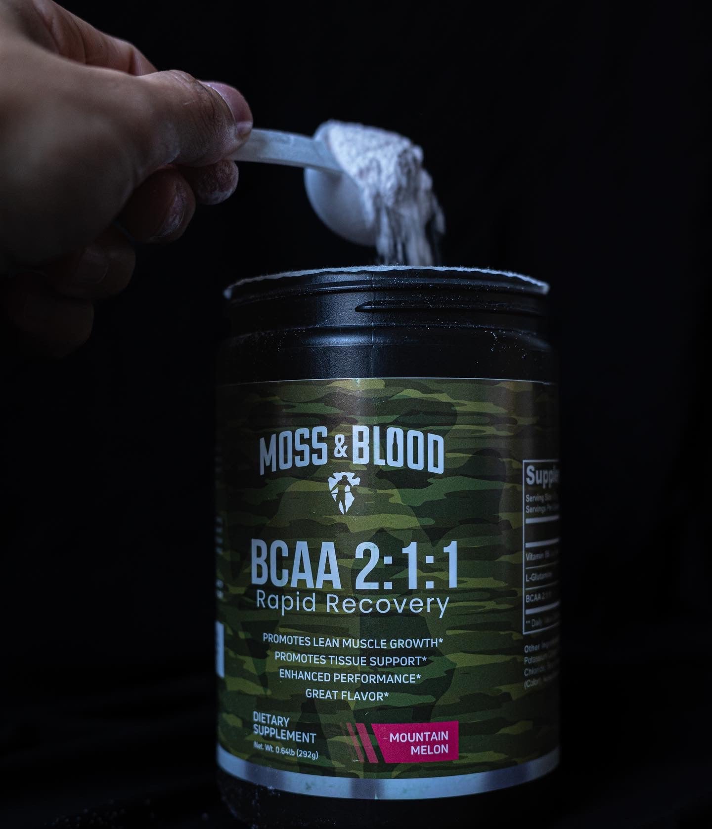 BCAA 2:1:1 Rapid Recovery, Mountain Melon Flavor